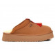 UGG Tazzle - Chestnut